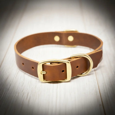 Leather Dog Collars - Personalized Leather Dog Collar