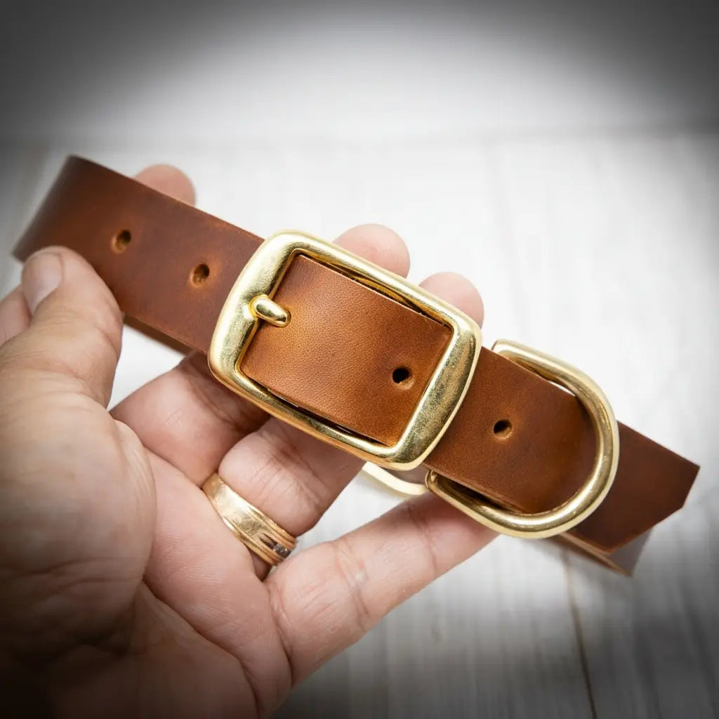 Leather Dog Collars - Personalized Leather Dog Collar