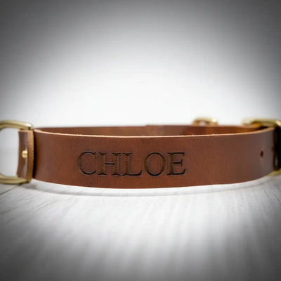 Leather Dog Collars - Personalized Leather Dog Collar