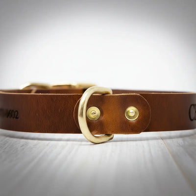 Leather Dog Collars - Personalized Leather Dog Collar