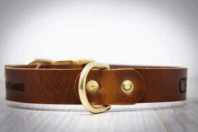 Leather Dog Collars - Personalized Leather Dog Collar